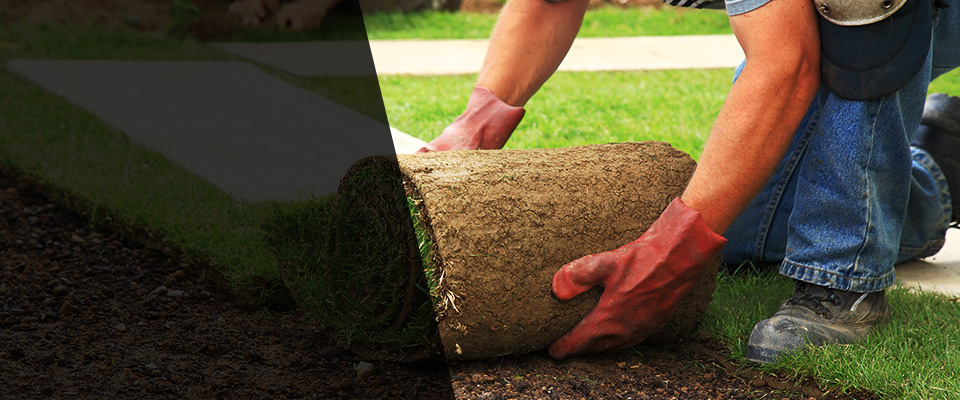 Pinckneyville Landscapers